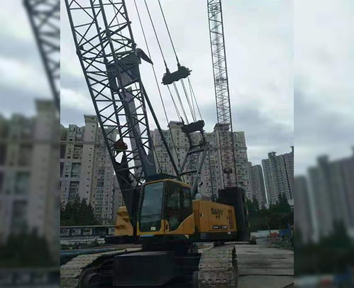 合肥履带吊出租服务 安徽利茂现货租赁与专业安装