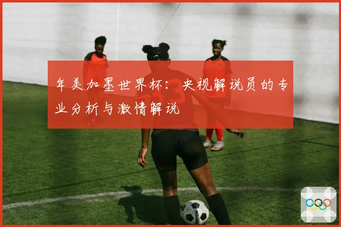 年美加墨世界杯：央视解说员的专业分析与激情解说