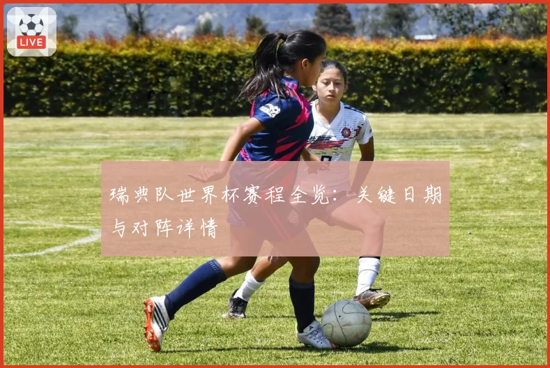 瑞典队世界杯赛程全览：关键日期与对阵详情