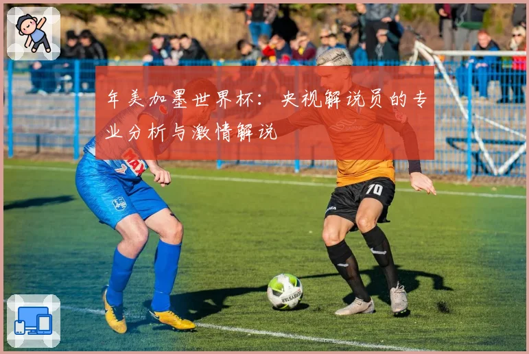 年美加墨世界杯：央视解说员的专业分析与激情解说