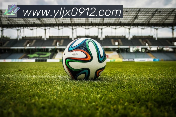 博亚app官网平台生态图